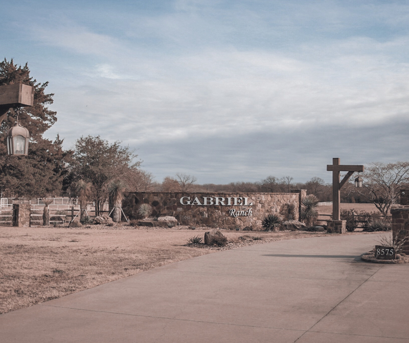 Gabriel Ranch | Premium Grass-Fed Beef & Bison Delivered